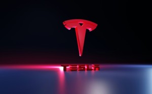 Tesla Azerbaijan Community