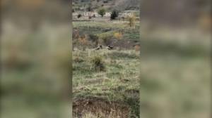 Ağdamı tərk etmək istəməyən erməni əsgərlərinə xəbərdarlıq: