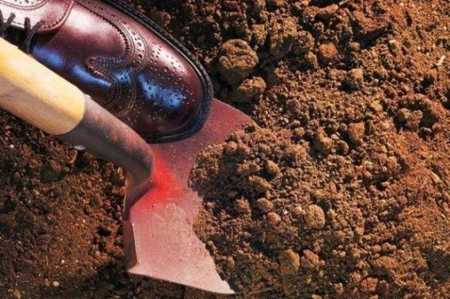 Azərbaycanda dəhşətli qətl: