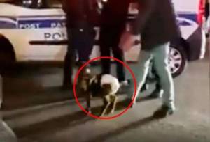 Bakıda “pampers” geyindirilən quzu ilə gəzən gəncləri polis niyə saxlayıb? -