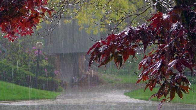 Leysan, sel, güclü külək -