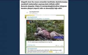 Ermənilər saxta xəbərləri yaymaqda davam edirlər -  Xəbər şəkili