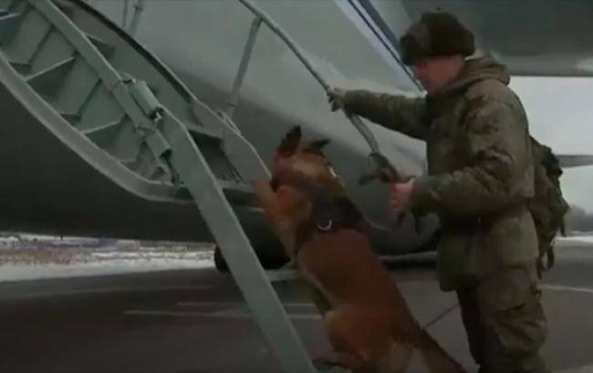 Rus hərbçilər itlərlə Qarabağı minadan təmizləməyə getdilər -