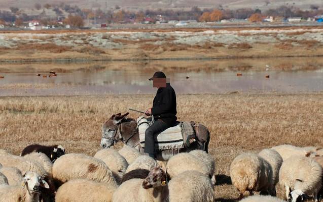 Azərbaycanda uşaq atası olan 37 yaşlı çobanın meyiti tapıldı