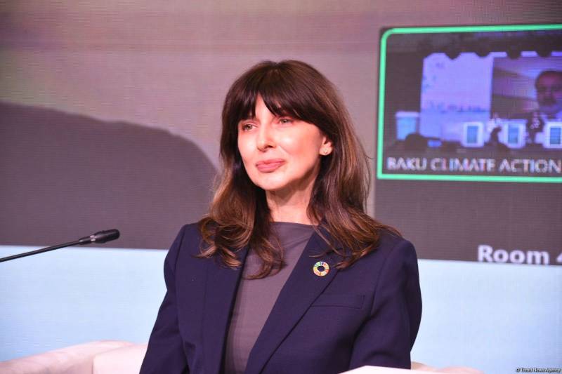 BMT Azərbaycanın süni intellektin yaşıl inkişafın hərəkətverici qüvvəsinə çevirməsi üçün dəstək göstərməyə hazırdır - Vladanka Andreeva