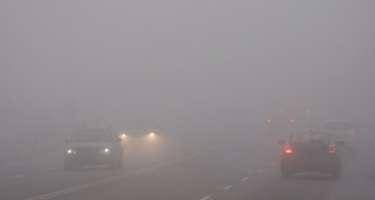 BDYPİ piyadalara və sürücülərə müraciət etdi