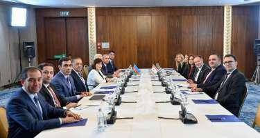 Sahibə Qafarova Ziya Öztürkler ilə görüşdü