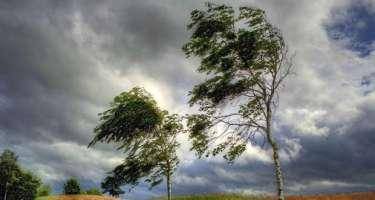 Küləkli hava ilə bağlı xəbərdarlıq edildi