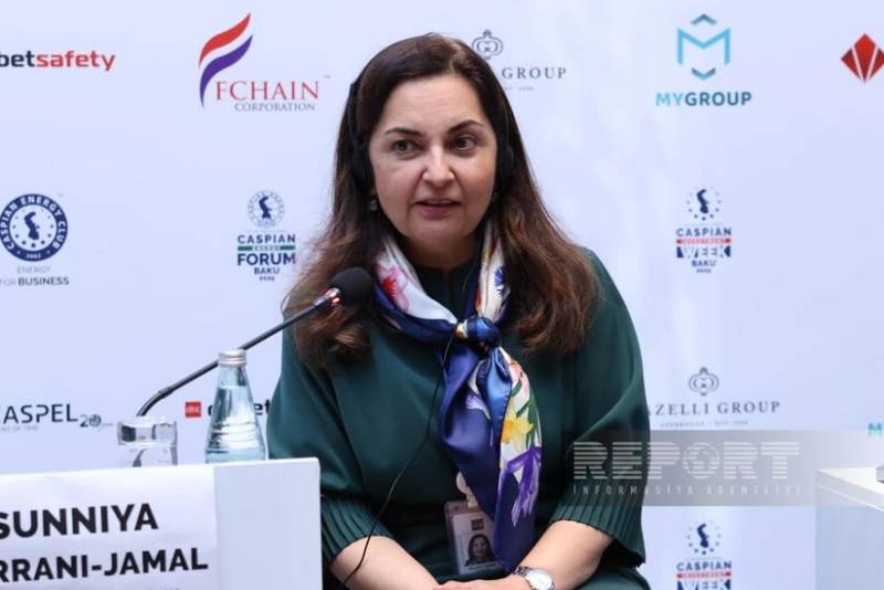 Sunniya Durrani-Camal: "Azərbaycana aydın enerji keçidi planı lazımdır"