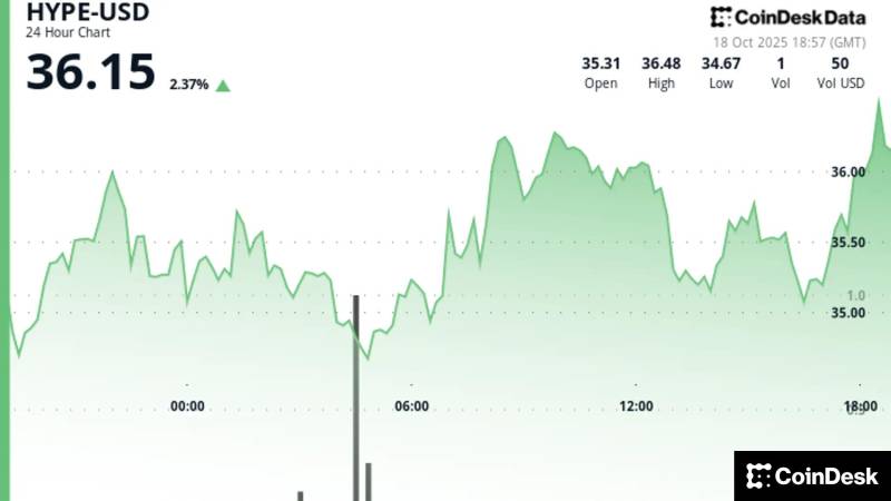 Davam Edən Aşağı Meyl: Analitik HYPE Tokenini $34 Altında Aldı, Növbəti Hədəf $28 Səviyyəsidir