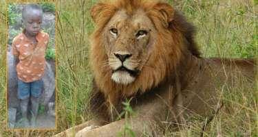 Şirlərin yaşadığı parkda itkin düşən uşaq sağ tapıldı