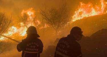 Xəzinə axtararkən meşə yandırdılar