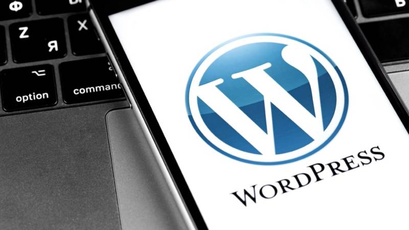 WordPress Platforması Ətrafında Böyük Hüquqi Mübahisə: Automattic WP Engine-i Məhkəməyə Verir