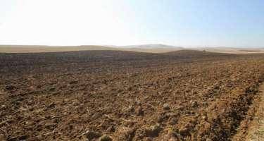 Azərbaycanda növbəti torpaq hərracları elan edildi