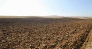 Azərbaycanda növbəti torpaq hərracları elan edildi Xəbər şəkili