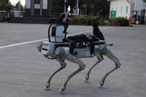 Türkiyənin Yerli İstehsalı Olan "PROTEO" Hərbi Robot İti Təqdim Edildi Xəbər şəkili