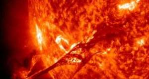 Ağacların 2700 il saxladığıSİRR