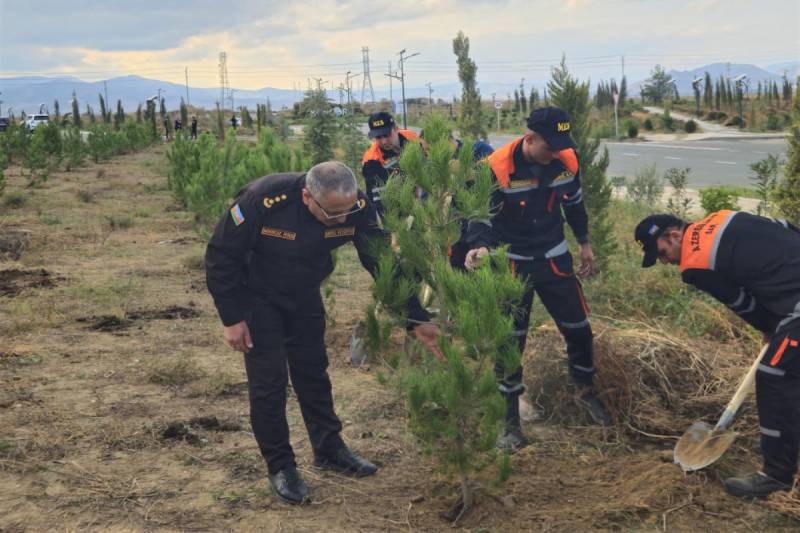 FHN Ağdamda ağacəkmə aksiyası keçirib