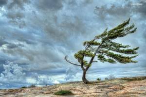Səhiyyə Nazirliyinin tabeliyində olan körpələr evinin işçilərinin əməkhaqları artırılıb Xəbər şəkili