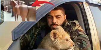 Əsəd Rejiminin Qorxulu Komandanı Tutuldu