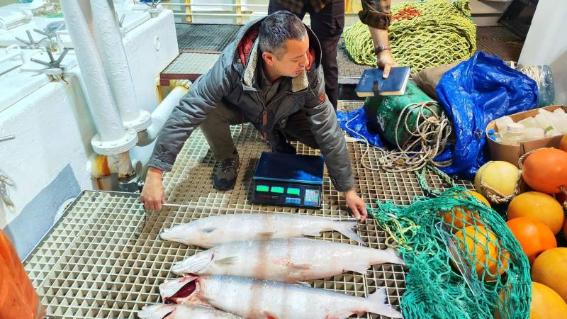 Xəzər dənizində və daxili sularda balıq ehtiyatlarının qiymətləndirilməsi ekspedisiyası yekunlaşıb (FOTO)