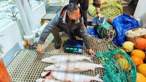 Xəzər dənizində və daxili sularda balıq ehtiyatlarının qiymətləndirilməsi ekspedisiyası yekunlaşıb (FOTO) Xəbər şəkili