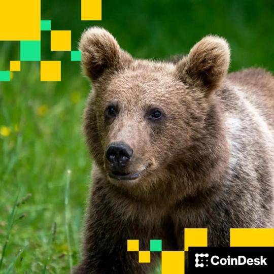 Bitcoin ehtiyatı saxlayan şirkətlərin bazar dəyəri holdinqlərinin qiymətindən niyə aşağı düşüb?