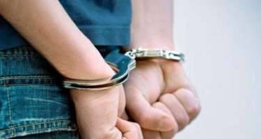 Qaçaqmalçılıqla narkotik vasitələr gətirən "TIR" sürücüsü saxlanıldı