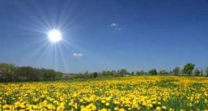 Sabah 35 dərəcə isti olacaq Xəbər şəkili