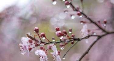 İyunun 8-də havanın temperaturu dəyişəcək