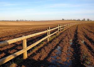 Torpaq bazarında qiymətlər necədir? - AÇIQLAMA Xəbər şəkili