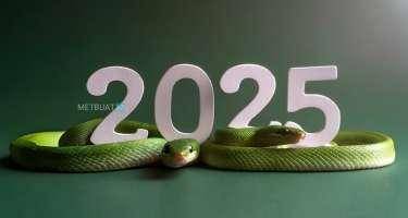 2025-dən kimlər qazanclı çıxacaq? - Qıtlıq, qısqanclıq, boşanmalar ili