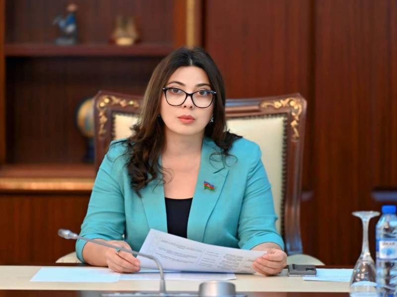 Milli Məclisin deputatı Borjomidə QDİƏT PA-nın komitə iclasında iştirak edəcək