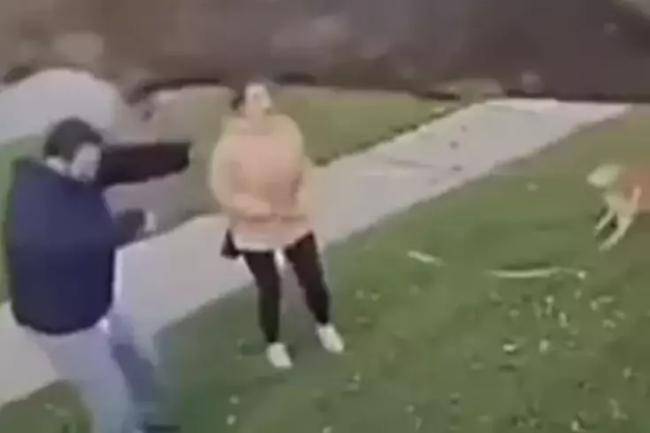 Nəhəng ağac başlarına aşdı: Cütlük ölümdən saniyələr içində qurtuldu