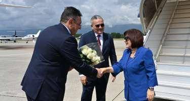 Milli Məclisin sədri Sahibə Qafarova Cenevrədə işgüzar səfərdədir