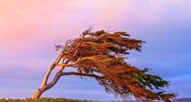 Faktiki hava açıqlandı