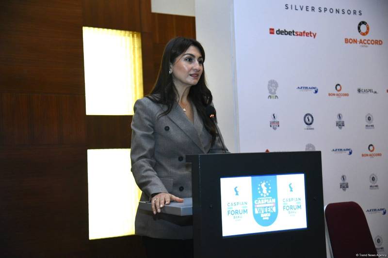 Azərbaycan qlobal dəyişikliklərə adaptasiya üzrə məqsədlərini həyata keçirir - Samirə Musayeva