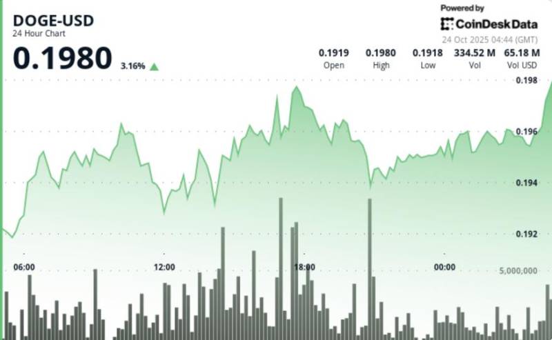 DOGE Ağır Ticarətlə 0.195 Dollar Səviyyəsini Aşdı: Vaykoff Analizi Növbəti Böyük Artıma İşarə Edir
