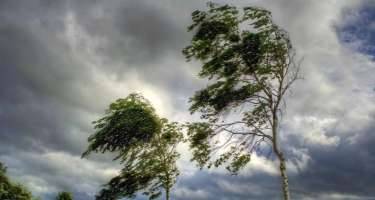 Bu ərazilərdə güclü külək əsəcək