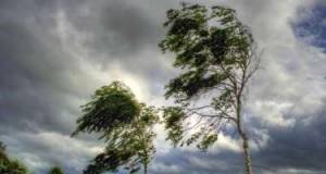 Bu ərazilərdə güclü külək əsəcək Xəbər şəkili