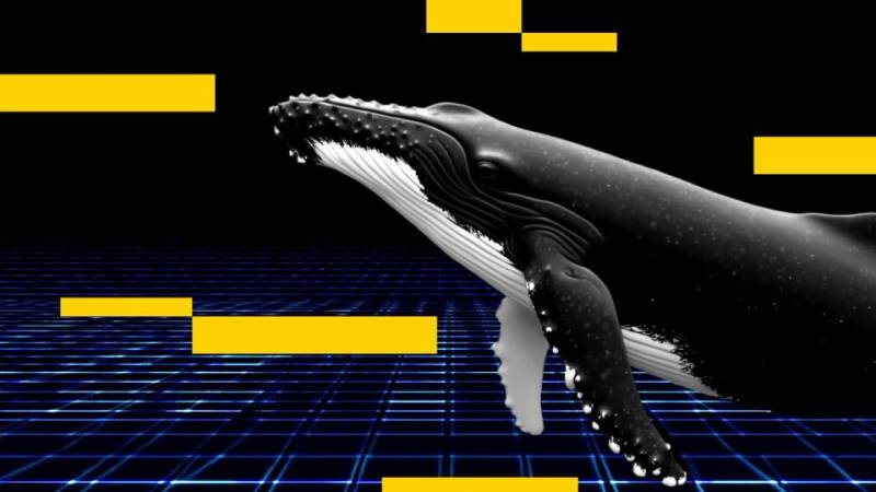 Trampın Tariflərindən Qazanan Bitcoin Veteranı İndi 234 Milyon Dollarlıq BTC Qiymət Enişinə Mərc Edir