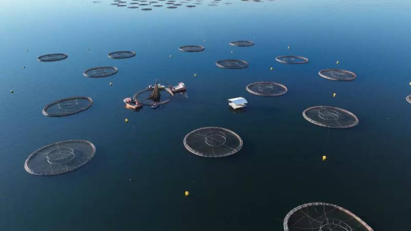 Kənd Təsərrüfatı Naziri Tuncelidə Nərə Balığı İstehsalına Baxış Keçirdi: İxraca Hazırlıq və İqtisadi Hədəflər