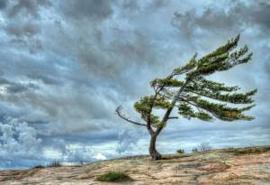 Sabah bəzi yerlərdə duman olacaq, külək əsəcək Xəbər şəkili