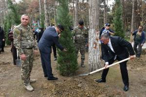 Abşeronda Zəfər Günü ilə əlaqədar ağacəkmə aksiyası keçirilib (FOTO)