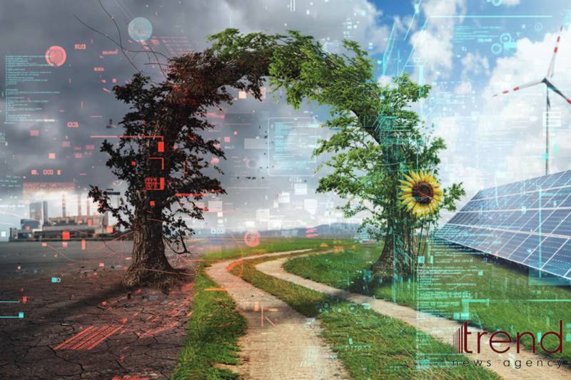 “Mərkəzi Asiya – Azərbaycan Yaşıl Enerji Dəhlizi” layihəsi üzrə görülən son işlər açıqlanıb