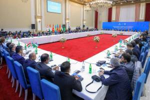 Naxçıvanda TDT ölkələri QHT-lərinin Həmrəylik Forumu keçirilib - YENİLƏNİB