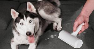 "Verge" Oxucularının Ən Çox Maraq Göstərdiyi "Qara Cümə" Endirimləri: Nəşrin Komissiya Sistemi Xəbər şəkili