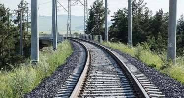 ADY heyvanlarla toqquşmaların sayını açıqladı