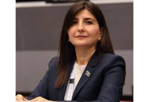 YAP – Yeni reallıqların formalaşmasında həlledici siyasi aktor Xəbər şəkili