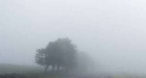 Bəzi yerlərdə duman müşahidə olunur -FAKTİKİ HAVA Xəbər şəkili